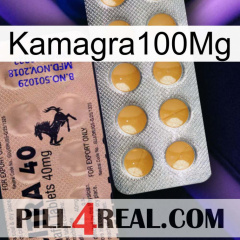 Kamagra100Mg 41